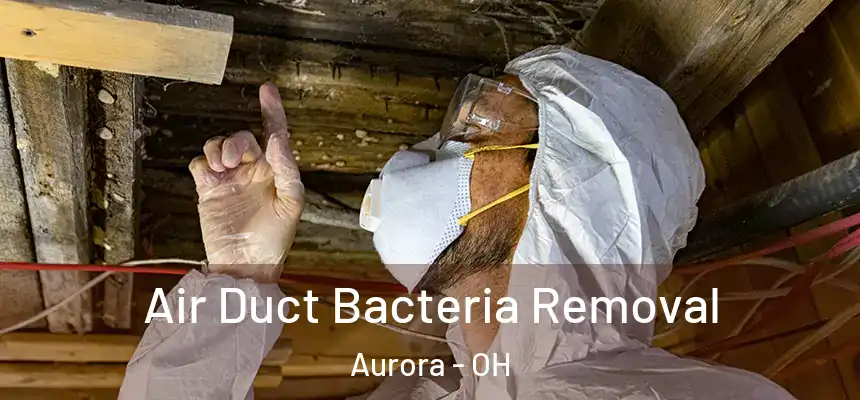Air Duct Bacteria Removal Aurora - OH