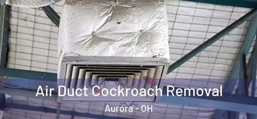 Air Duct Cockroach Removal Aurora - OH