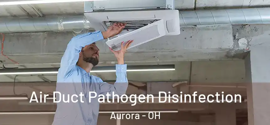 Air Duct Pathogen Disinfection Aurora - OH
