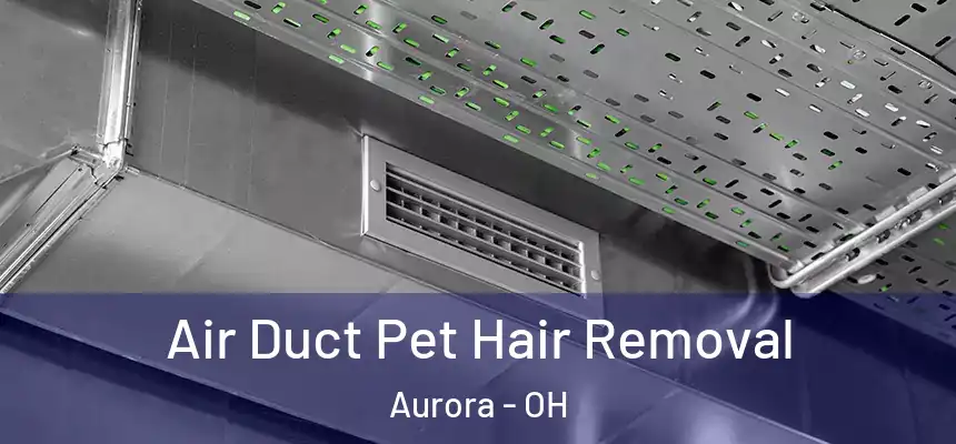 Air Duct Pet Hair Removal Aurora - OH