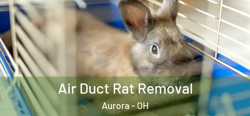 Air Duct Rat Removal Aurora - OH