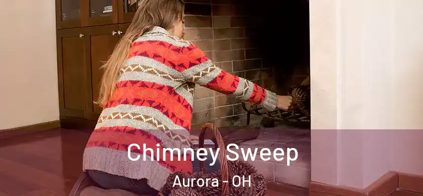  Chimney Sweep Aurora - OH