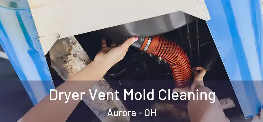 Dryer Vent Mold Cleaning Aurora - OH
