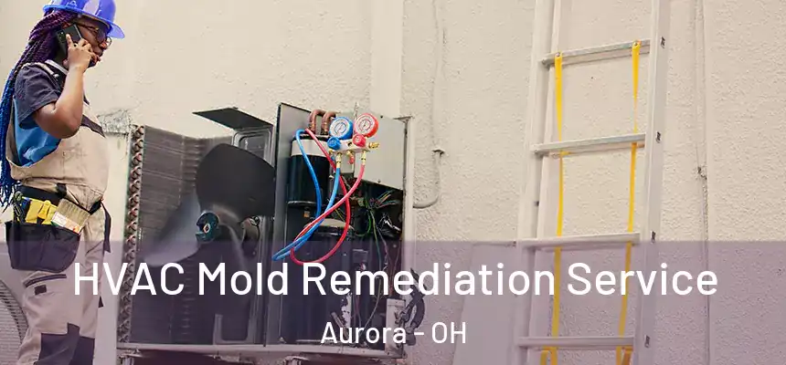  HVAC Mold Remediation Service Aurora - OH