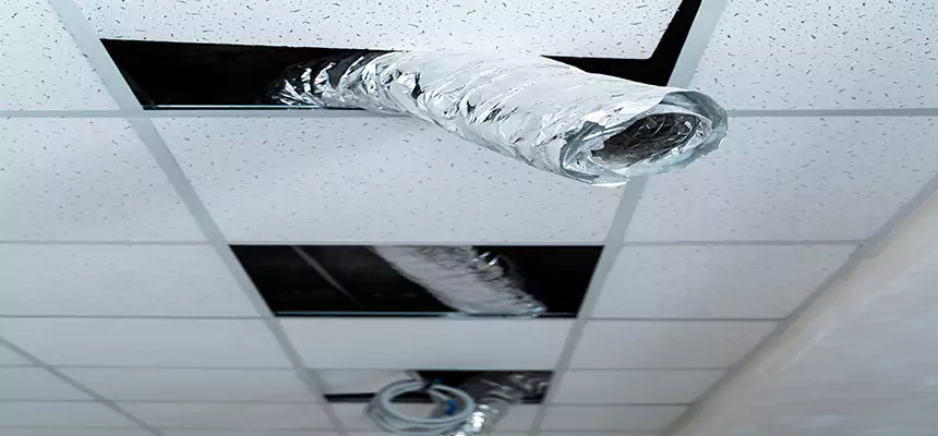 Affordable HVAC Sanitizing After Pest Removal in Aurora