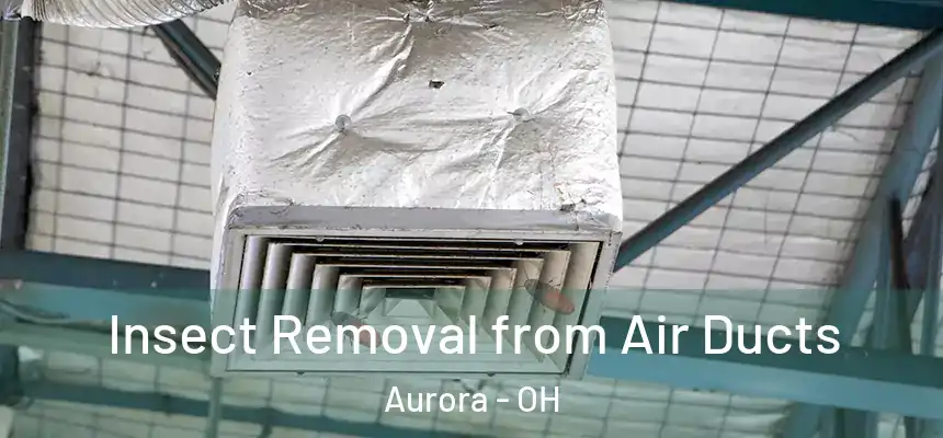Insect Removal from Air Ducts Aurora - OH