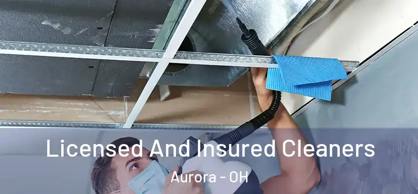 Licensed And Insured Cleaners Aurora - OH