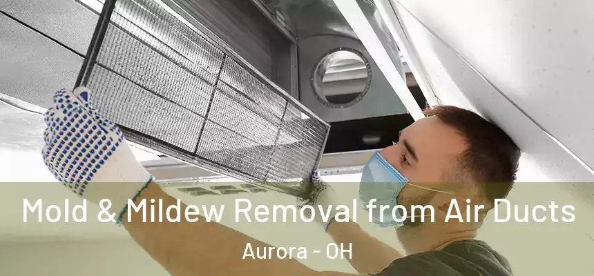 Mold & Mildew Removal from Air Ducts Aurora - OH
