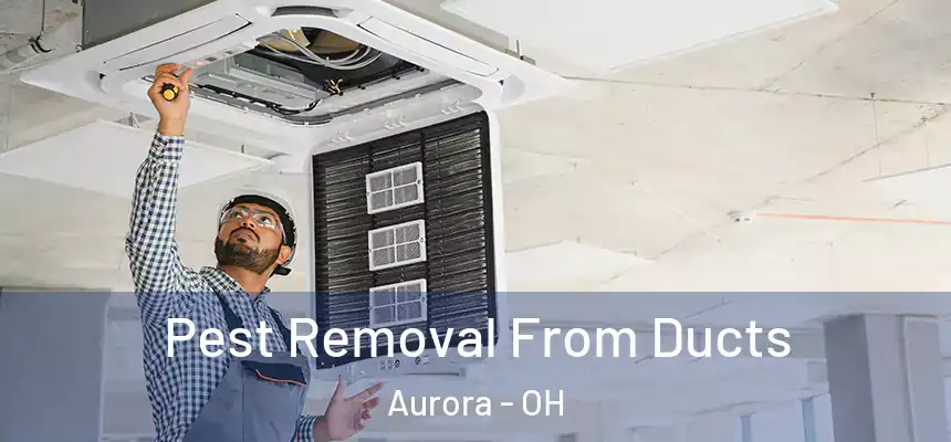 Pest Removal From Ducts Aurora - OH