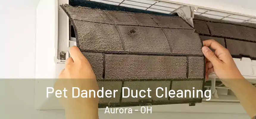 Pet Dander Duct Cleaning Aurora - OH