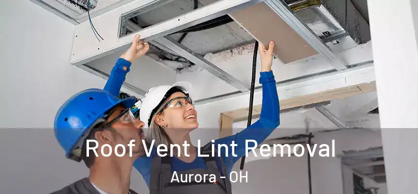 Roof Vent Lint Removal Aurora - OH