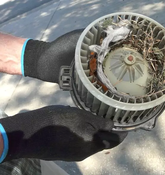 About Air Duct Mice Removal in Aurora, OH