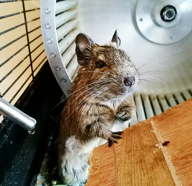 Why Homeowners & Businesses Trust Us Aurora, OH